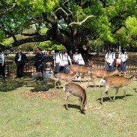 ５月16日(木)　修学旅行３日目，東京駅到着