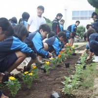 ６月１３日（木）　花壇整備