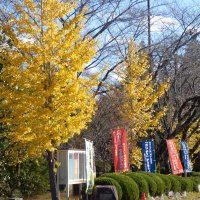 11月20日（水）　明日から期末テスト