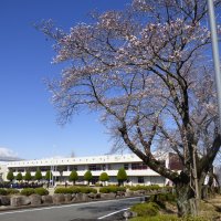 3月24日（火）　春休み以降の学校における教育活動について