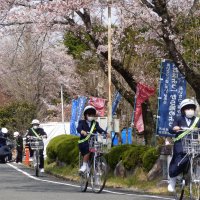 4月7日(火）　身体測定（３年生）・交通安全教室（１年生）