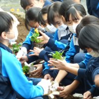 11月27日（金）　花壇整備