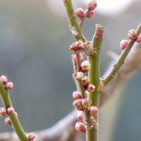 2月12日(金）　次のステップへ