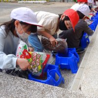 ４月28日（木）早く芽がでないかな