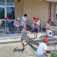 ６月２８日（火）アサガオの水やり