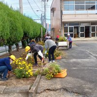 １１月１日（火）　花壇の苗抜き