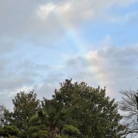 １２月６日（火）　晴雨の中の虹