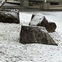 １月２３日（月）　雪