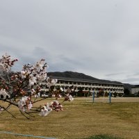 ３月２７日　春休みになりました