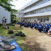 ５月９日（火）　桜の苗植え