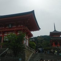 ５月13日(土)　チェックポイントは清水寺