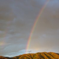 11月28日(火)　３年生実力テスト