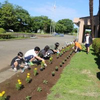 さわやかな朝です