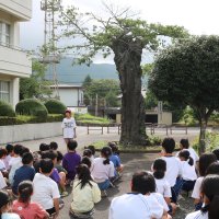 ７／１７（水）桜の木とのお別れ会