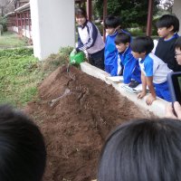 10月10日（木）５年生理科の学習