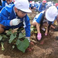 10月21日（月）いもほり集会